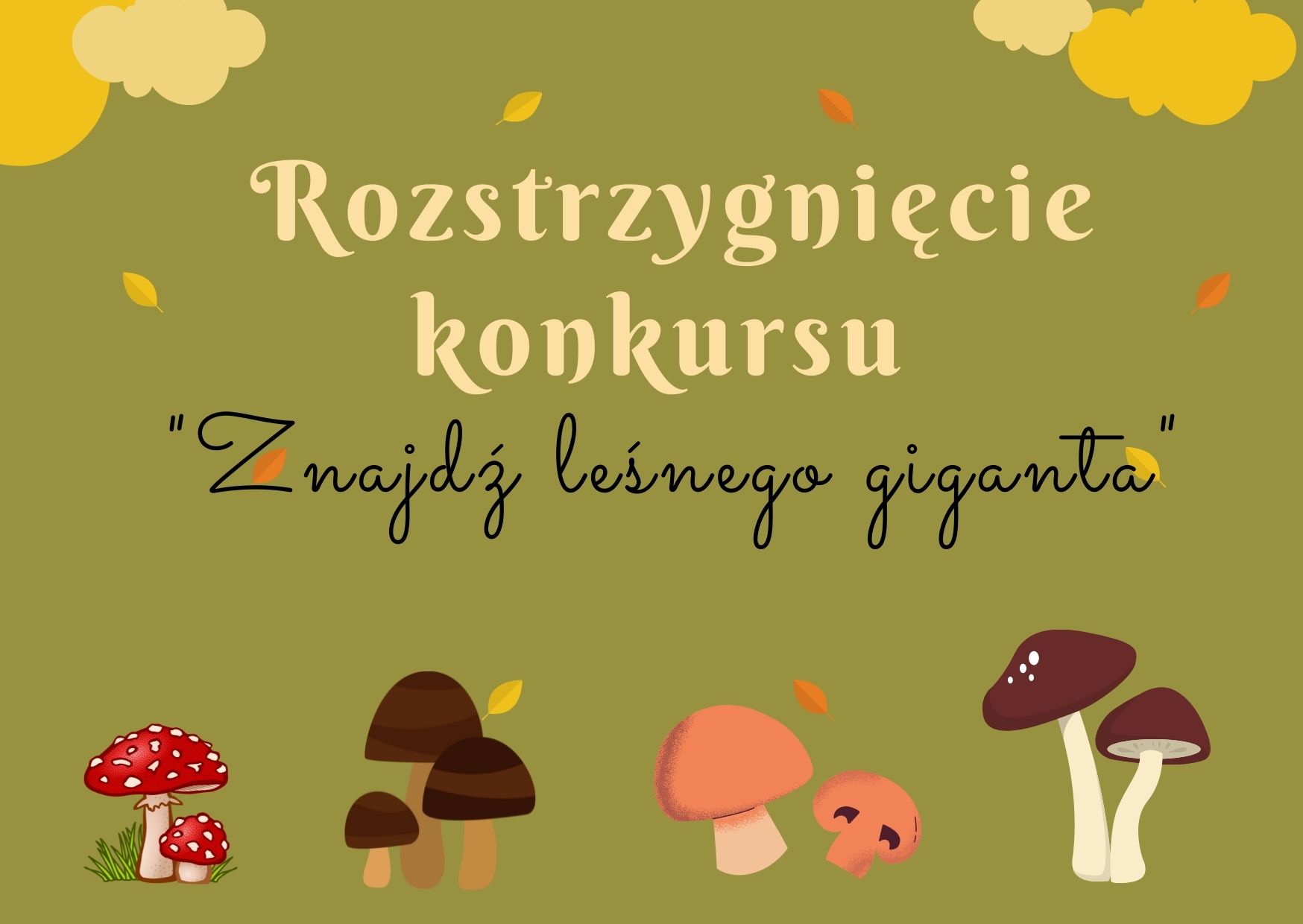 Grafika przedstawia grzyby oraz napis&quot; Rozstrzygnięcie konkursu &quot;Znajdź leśnego giganta&quot;