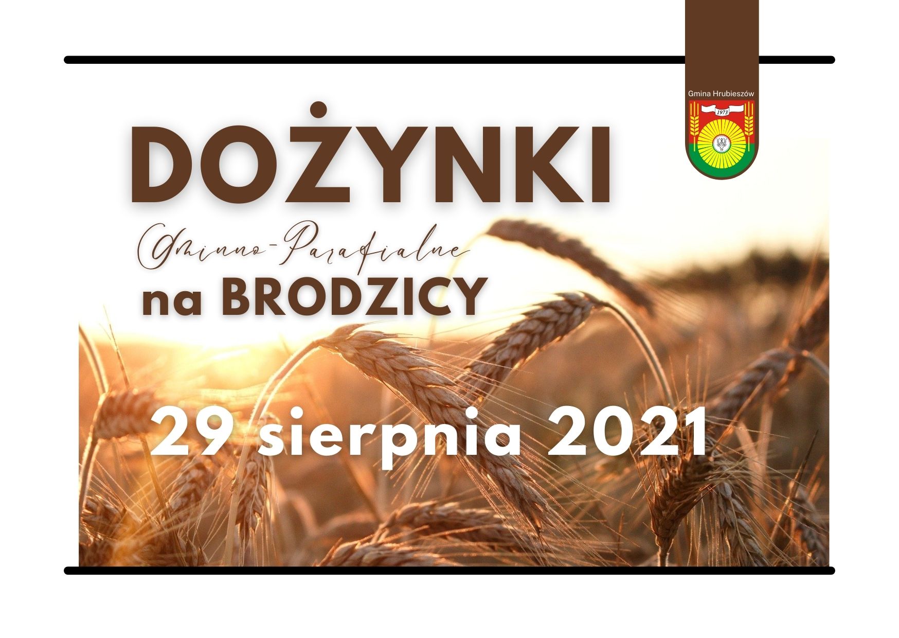 Grafika przedstawia zboże oraz napis: Dożynki Gminno-Parafialne na Brodzicy 29 sierpnia 2021 roku