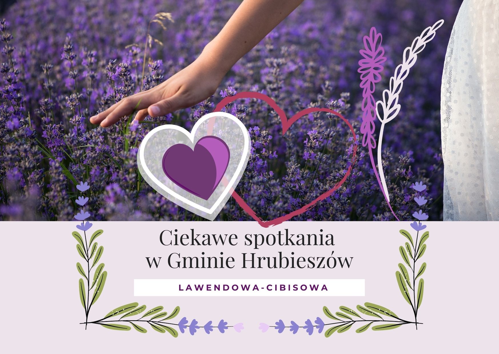 Zdjecie kobiety, która idzie polem lawendowym a dłonią muska kwiaty lawendy. Napis ciekawe spotkania w Gminie Hrubieszów, Lawendowa Cibisowa