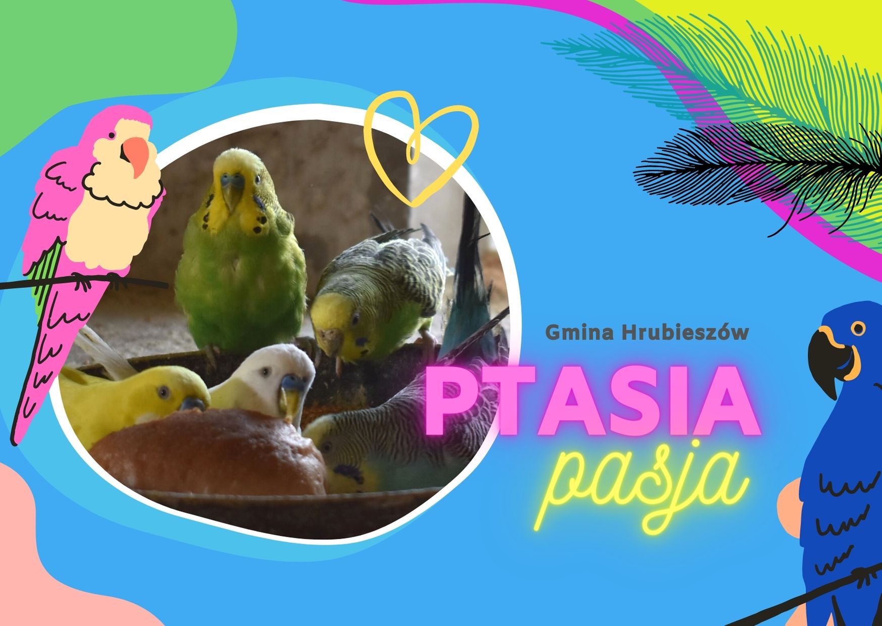 Grafika przedstawia różnych kształtów kolorowe elementy, w jednym umieszczone jest zdjęcie papug. Na tle widniej napis: gmina Hrubieszów ptasia pasja