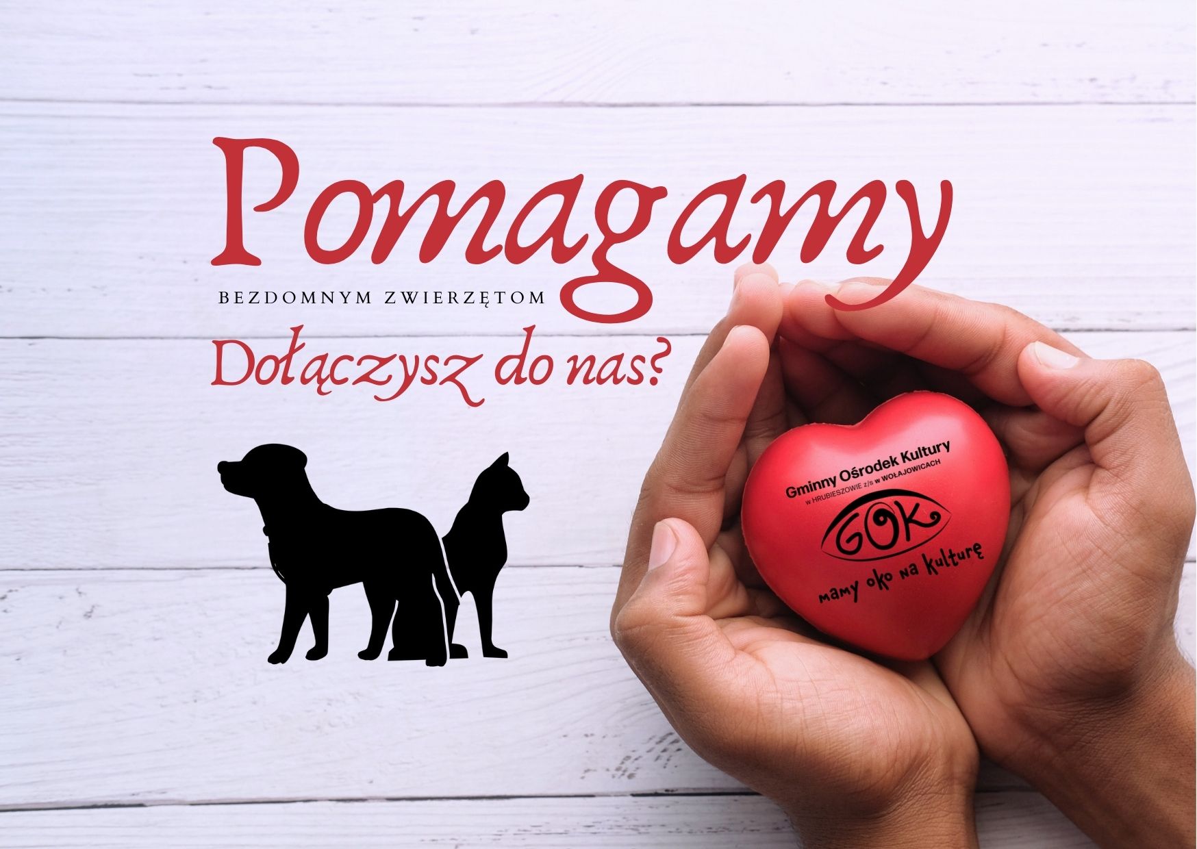 Dłonie trzymające czerwone serce, na nim logo GOk, obok pies i kot, napis pomagamy bezdomnym zwierzętom, dołączysz?