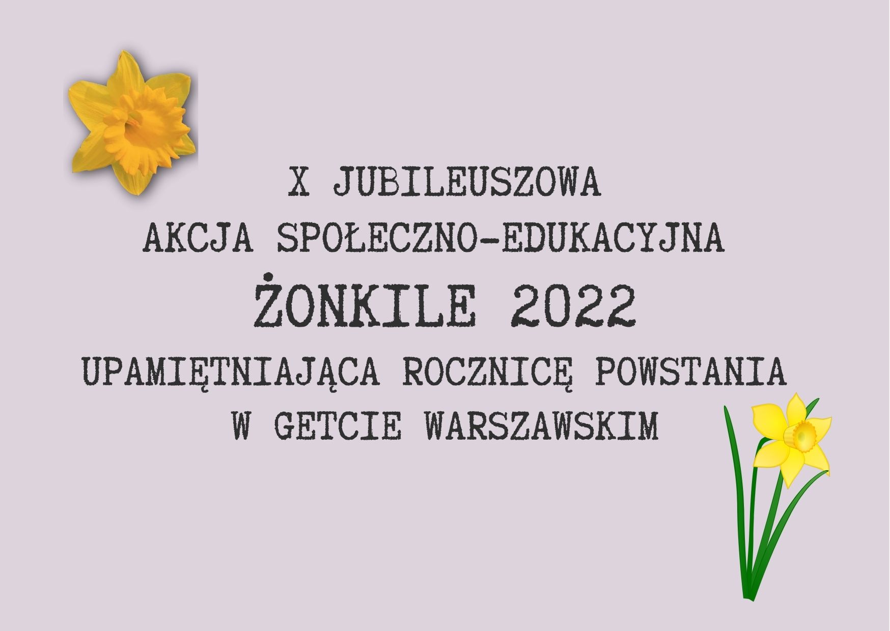 Grafika przedstawia żonkile oraz napis" X Jubileuszowa Akcja Społeczno-Edukacyjna Żonkile 2022 upamiętniająca rocznicę powstania w getcie warszawskim