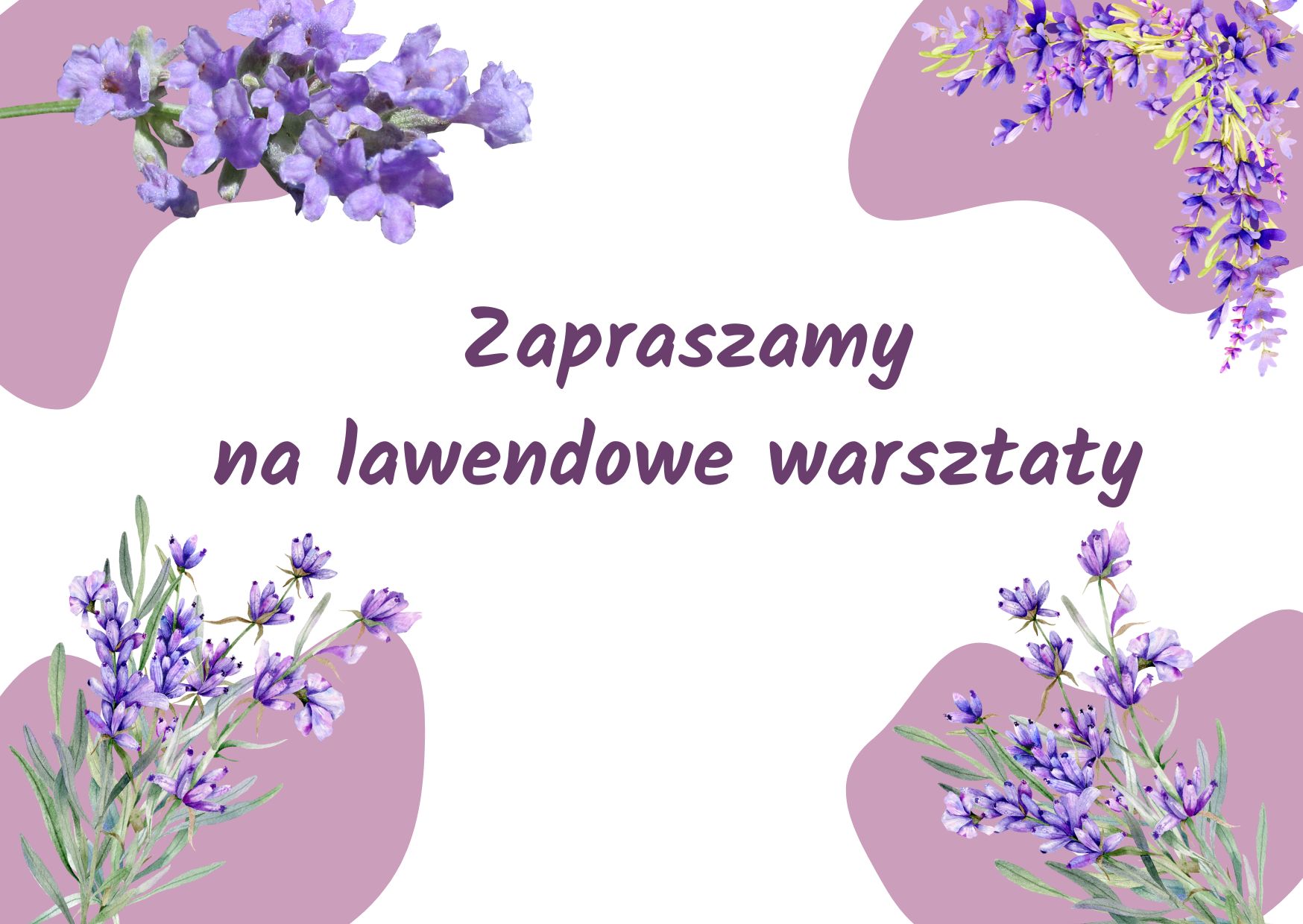 Grafika przedstawia lawendę oraz napis: Zapraszamy na lawendowe warsztaty 