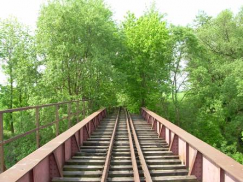 Most kolejowy w otoczeniu drzew