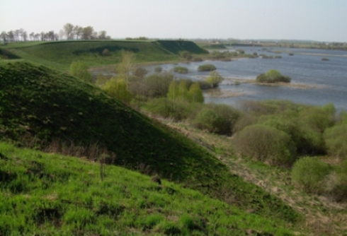 Skarpa porośnięta trawą, w dole rozlewiska, krzewy i drzewa