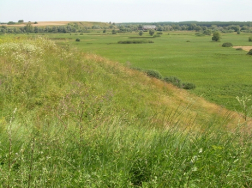 Skarpa porośnięta trawą, w dole łąka z nielicznymi krzewami