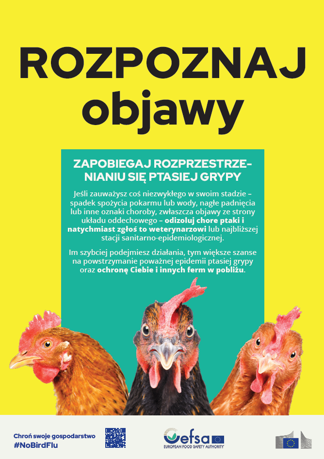 Zrzut_ekranu_2026-10-13_083515.png