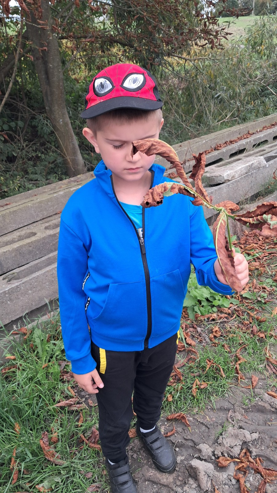 Dzieci poznają dary jesieni.