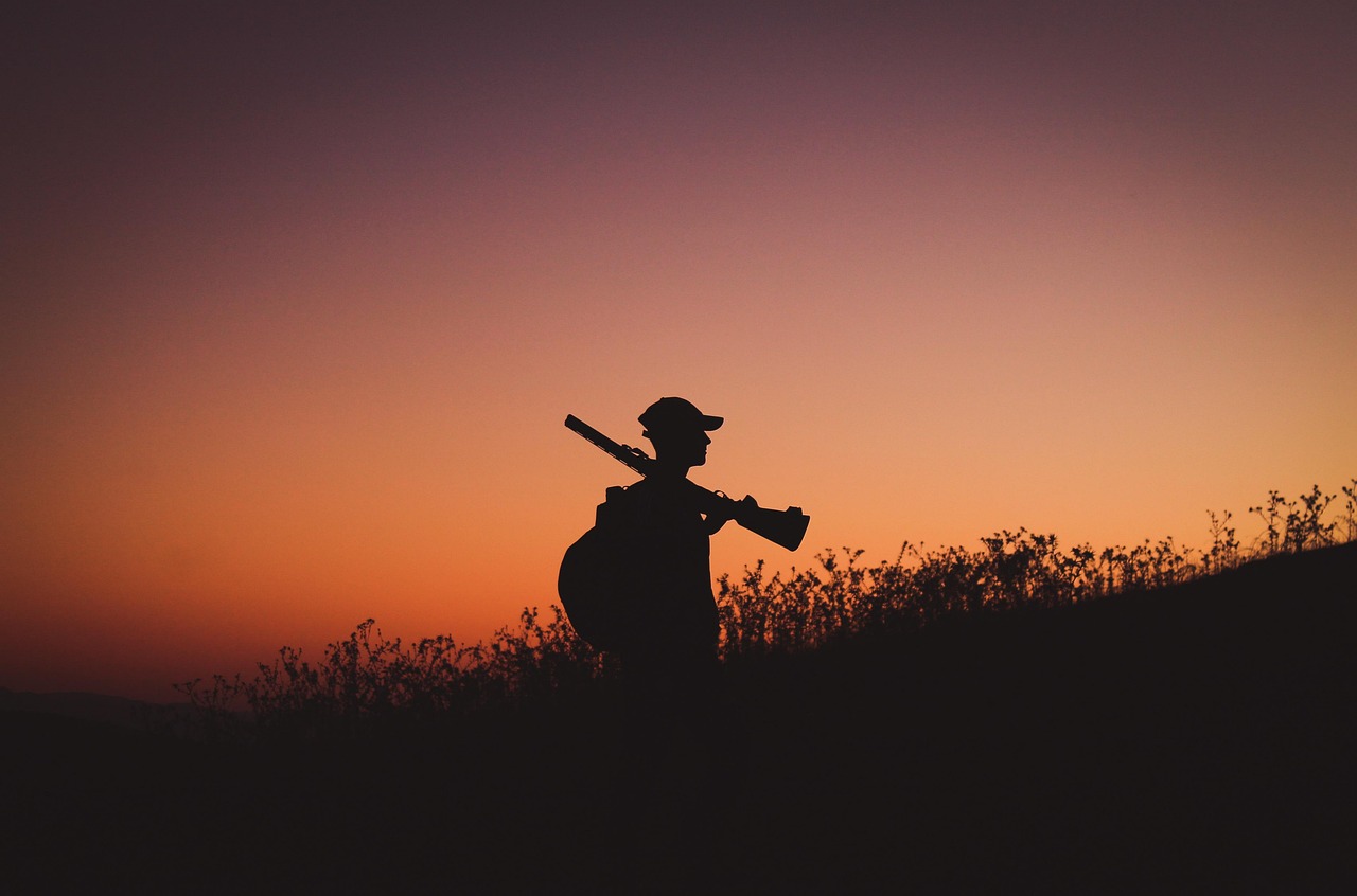 Plan polowań zbiorowych