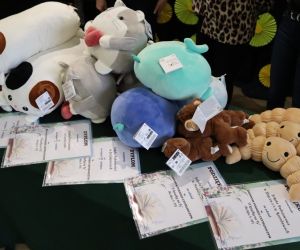 Na zdjęciu widoczne są dyplomy i nagrody.