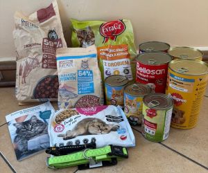 Zdjęcie przedstawia zebrane dary w postaci karmy i innych akcesoriów potrzebnych przy opiece nad zwierzętami