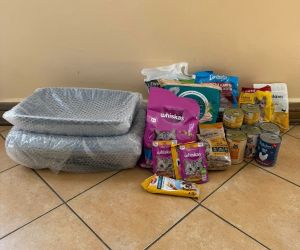 Zdjęcie przedstawia zebrane dary w postaci karmy i innych akcesoriów potrzebnych przy opiece nad zwierzętami