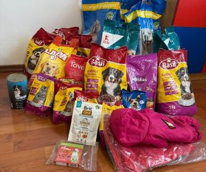 Zdjęcie przedstawia zebrane dary w postaci karmy i innych akcesoriów potrzebnych przy opiece nad zwierzętami