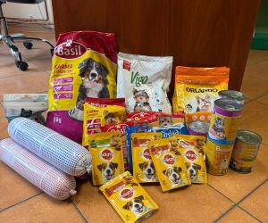Zdjęcie przedstawia zebrane dary w postaci karmy i innych akcesoriów potrzebnych przy opiece nad zwierzętami