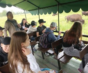 Przewodnik opowiada na temat bizonów w Kurozwękach