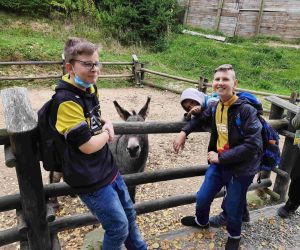 Trzech uczniów przy zagrodzie z osłami