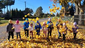 Jesień w przedszkolu: zabawy i eksperymenty.