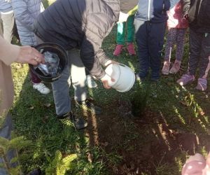 Uczeń podlewa posadzone drzewa