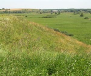 Skarpa porośnięta trawą, w dole łąka z nielicznymi krzewami