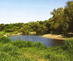 Na pierwszym planie zielona łąka, w oddali rzeka, drzewa i krzewy