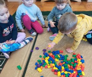 Układamy misie kolorami