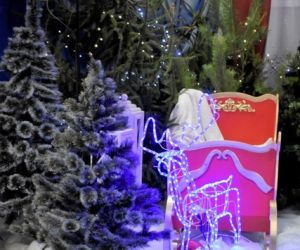 Sanie Św. Mikołaja, choinki, śnieg sztuczny - wewnątrz budynku.