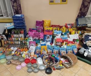 Zebrana karma i rzeczy potrzebne bezdomnym zwierzętom.