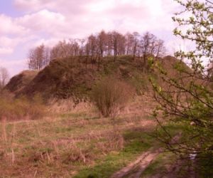 Duży kopiec z ziemi na nim wysokie drzewa