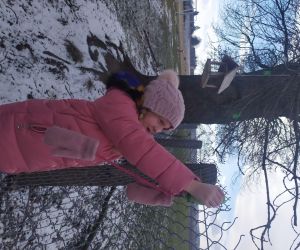 dziewczynka zawiesza pokarm dla ptaków