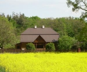 Pole kwitnącego rzepaku w tle brązowy budynek w otoczeniu drzew