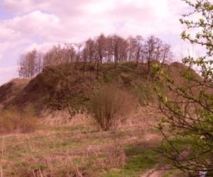 Duży kopiec z ziemi na nim wysokie drzewa