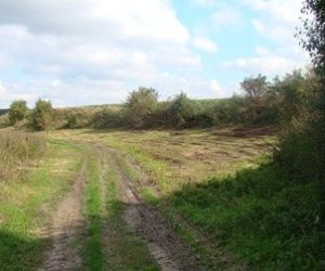 Murawa po wykoszeniu