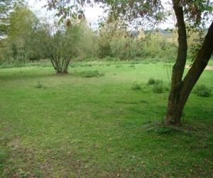 Murawa po wypasie owiec