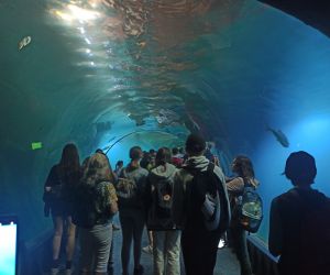 W tunelu wodnym w Afrykarium