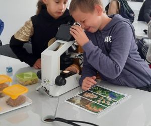 Uczniowie oglądają pod mikroskopem płatki kwiatów łąkowych.