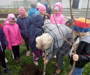 Nauczycielka kopie dół, aby posadzić drzewo, uczniowie stoją obok niej.