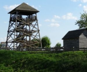 Wieża widokowa, w tle drewniana wiata