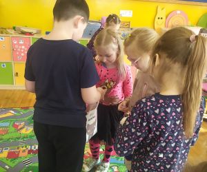 Dziewczynka częstuje się cukierkiem.