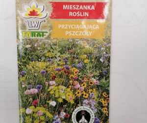 Torebka z mieszanką nasion roślin  otrzymana przez szkołę