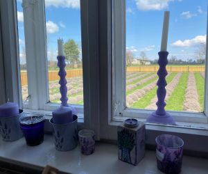 Okno przez które widać lawendowe pole. Na parapecie stoją lampiony i świeczniki.