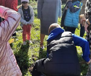 Uczeń wykopuje dół na drzewko im. Chrobrego