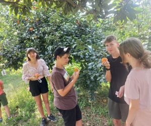 Uczniowie polscy kosztują owoców persymony