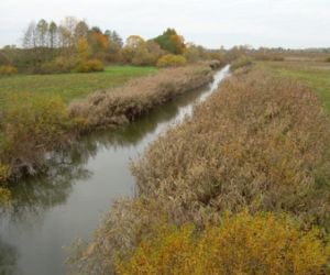 Rzeka w jesiennym krajobrazie