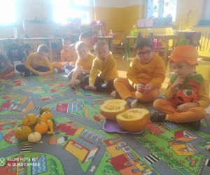 dzieci oglądają dynie, określają jej kolor, kształt, wielkość