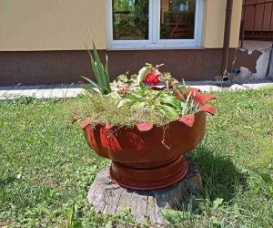 Pojemnik na rośliny ogrodowe wykonany ze starej opony.
Praca wykonana przez Mateusza Kasprzaka