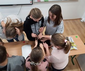 Uczniowie sadzą cebulki krokusów