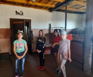 Cztery dziewczynki stoją w stajni