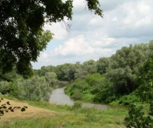 Zdjęcie przyrody, w oddali rzeka i drzewa, na pierwszym palnie polana