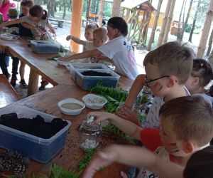 Uczniowie podczas warsztatów