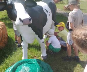 Dzieci doją sztuczną krowę